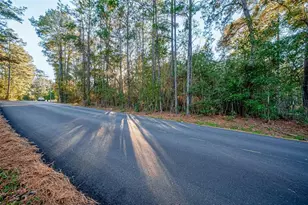 Tbd Lake Mount Pleasant Rd, Montgomery, TX 77356 - Photo 11