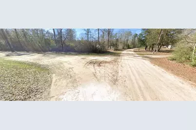 Tbd Davis Lot 29, Livingston, TX 77351 - Photo 3