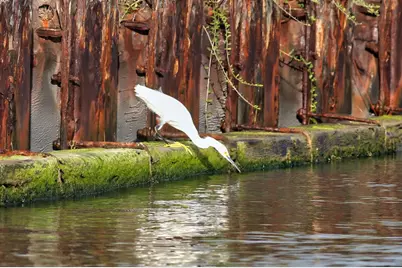 1493 County Road 291, Sargent, TX 77414 - Photo 11