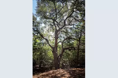 0 Cedar Hill Road, Brenham, TX 77833 - Photo 19