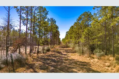 045 S King Ranch Road, Onalaska, TX 77360 - Photo 7