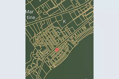 Lot 10 & 11 Fm 980 S, Point Blank, TX 77364 - Photo 9