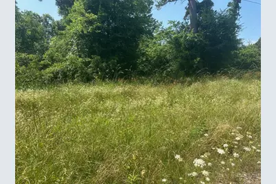 Lot 10 & 11 Fm 980 S, Point Blank, TX 77364 - Photo 3