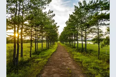 Tbd S Green Valley Trail, Hillister, TX 77624 - Photo 21