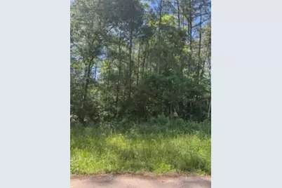 15871 Sycamore Drive, Montgomery, TX 77356 - Photo 3