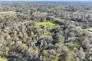 28283 Fm 2090 Rd, Splendora, TX 77372 - Photo 7
