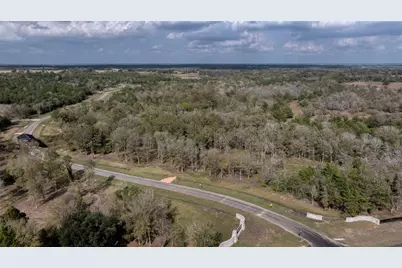 8071 Timber Bridge Lane, Chappell Hill, TX 77426 - Photo 5