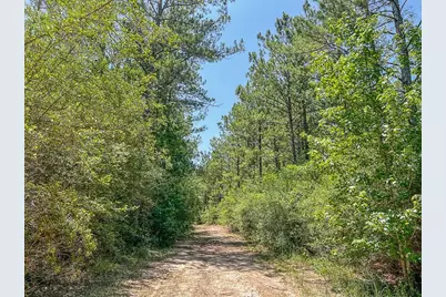 04 Cr 364E, Zavalla, TX 75980 - Photo 9