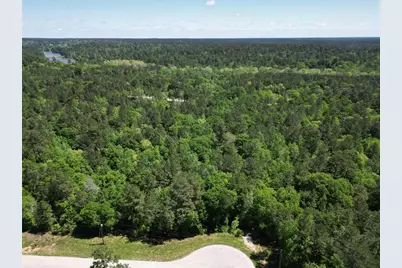0 Pyrite Court, Huntsville, TX 77340 - Photo 3