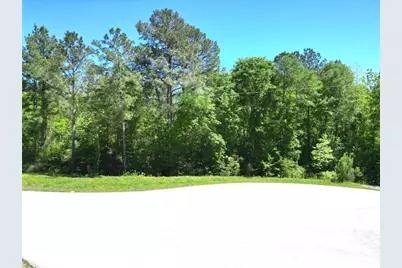 0 Pyrite Court, Huntsville, TX 77340 - Photo 5