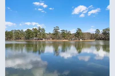 19701 W Lakeshore Drive, Magnolia, TX 77355 - Photo 9