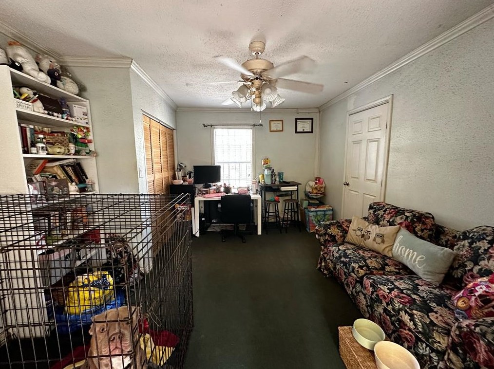 1505 Walton, Houston TX  77009-2523 exterior