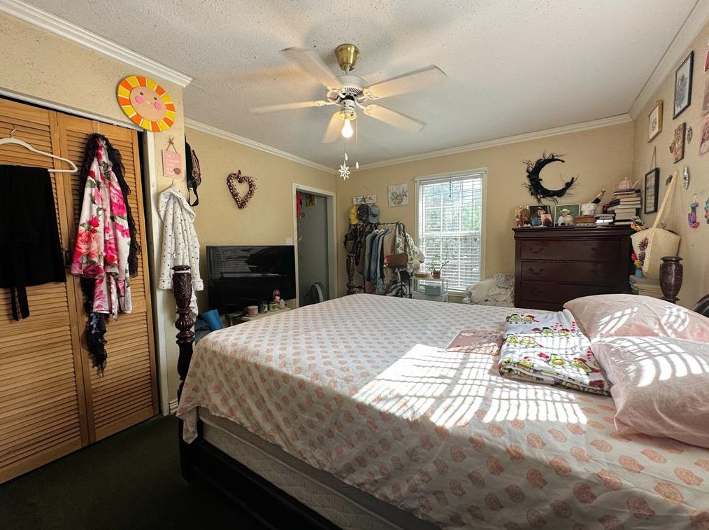 1505 Walton, Houston TX  77009-2523 exterior