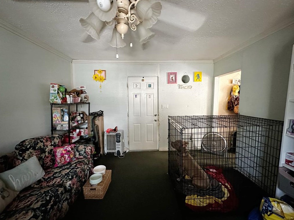 1505 Walton, Houston TX  77009-2523 exterior