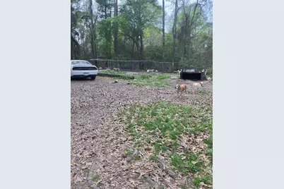 21060 Patricia Lane, New Caney, TX 77357 - Photo 5