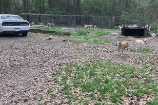 21060 Patricia Ln, New Caney, TX 77357 - Photo 5