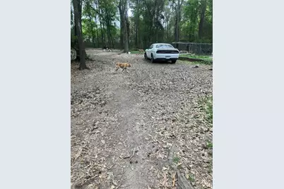 21060 Patricia Lane, New Caney, TX 77357 - Photo 11