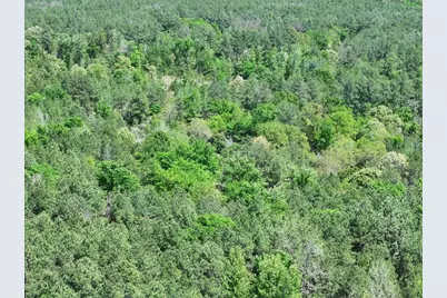 475 Cherokee Trail, Lovelady, TX 75851 - Photo 5