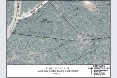 011 Magnolia Ranch Road, Onalaska, TX 77360 - Photo 13