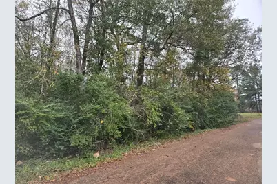 19515 Pine Haven Road Drive, Conroe, TX 77385 - Photo 1