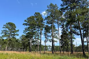 000 Fm 1791, Richards, TX 77873 - Photo 5