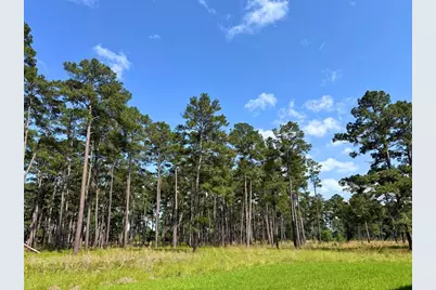 000 Fm 1791, Richards, TX 77873 - Photo 7