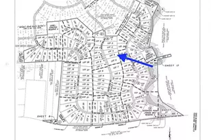 15734 Wooded Trl Wy, Willis, TX 77378 - Photo 7