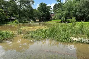 162 Cove View Dr, Trinity, TX 75862 - Photo 47