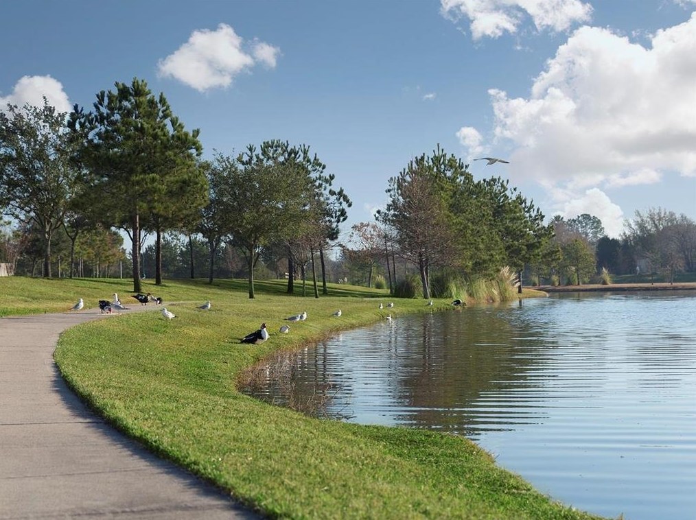 1919 Creekside Park Dr, Houston TX  exterior