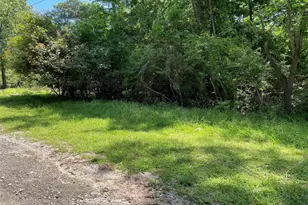 366 & 374 Rain Forest Rd, Onalaska, TX 77360 - Photo 1