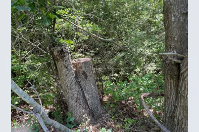 366 & 374 Rain Forest Road, Onalaska, TX 77360 - Photo 3