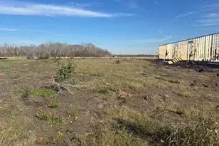 5438 Timpson Dr, Manvel, TX 77578 - Photo 3