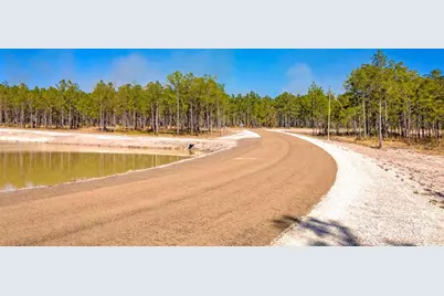 0412 Tumbleweed Ranch Rd, Onalaska, TX 77360 - Photo 5