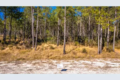 0412 Tumbleweed Ranch Rd, Onalaska, TX 77360 - Photo 7