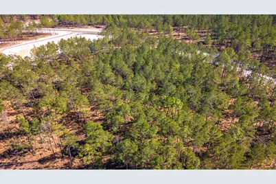 0412 Tumbleweed Ranch Rd, Onalaska, TX 77360 - Photo 15