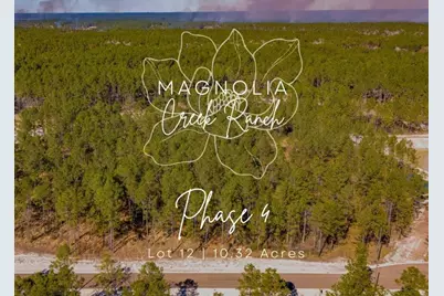 0412 Tumbleweed Ranch Rd, Onalaska, TX 77360 - Photo 1