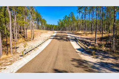 044 King Ranch Road South Road, Onalaska, TX 77360 - Photo 5