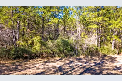 044 King Ranch Road South Road, Onalaska, TX 77360 - Photo 11