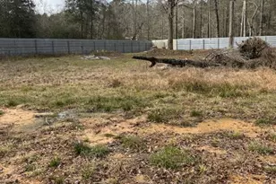 21601 Cr 3747, Splendora, TX 77372 - Photo 19