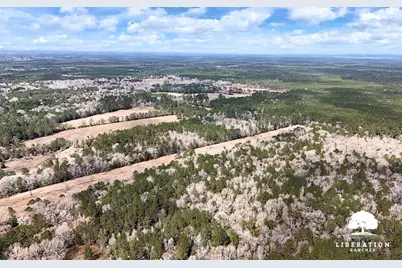 Lot 3 John Warren Road, Coldspring, TX 77331 - Photo 15