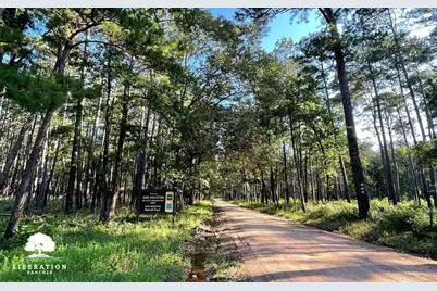 Lot 3 John Warren Road, Coldspring, TX 77331 - Photo 17