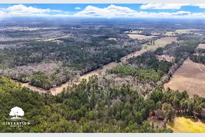 Lot 3 John Warren Road, Coldspring, TX 77331 - Photo 3