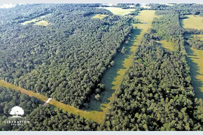 Lot 3 John Warren Road, Coldspring, TX 77331 - Photo 11