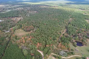 0 Raven Hill Rd Rd, Oakhurst, TX 77359 - Photo 1