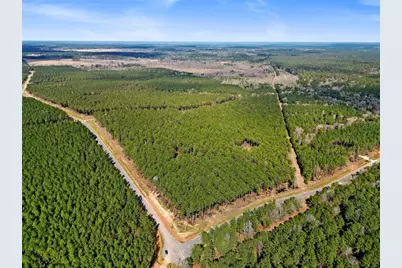 Tbd Queen Anne, Huntsville, TX 77340 - Photo 13