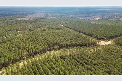 Tbd Queen Anne, Huntsville, TX 77340 - Photo 7