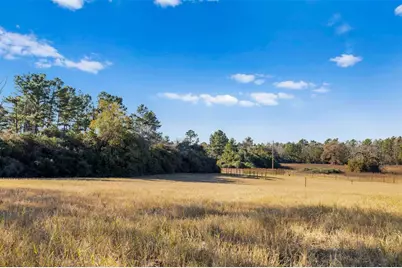 Tbd Pr 1315, Centerville, TX 75833 - Photo 15