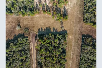 Tbd Pr 1315, Centerville, TX 75833 - Photo 21