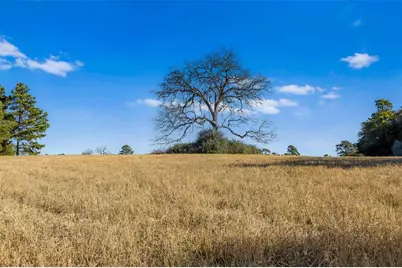 Tbd Pr 1315, Centerville, TX 75833 - Photo 1