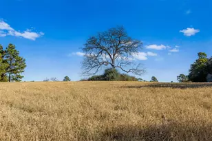 Tbd Pr 1315, Centerville, TX 75833 - Photo 1